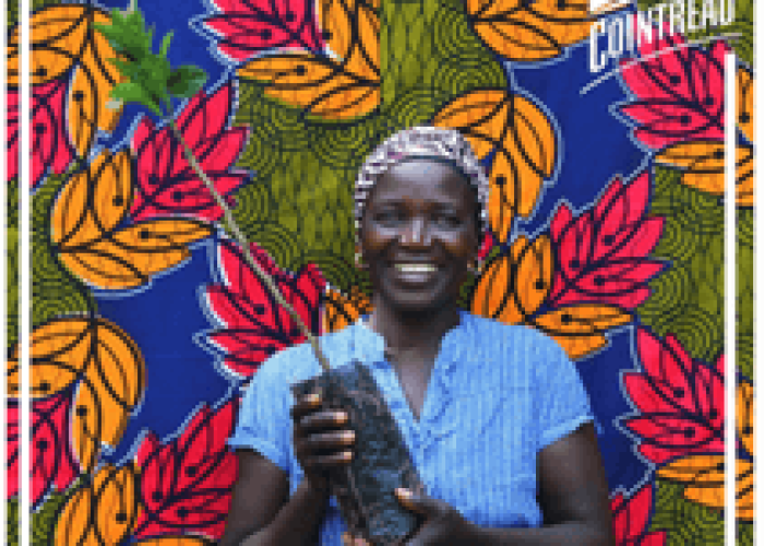 Cointreau planta más de 2.500 árboles en Senegal gracias a su iniciativa #1Orange1Tree