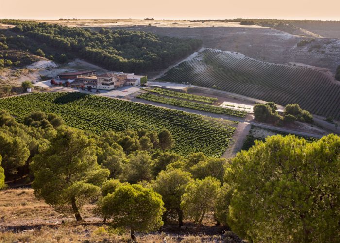 Conde de San Cristóbal celebra el Día del Libro con Reserva Especial 2020, un tinto noble que cuenta su propia historia
