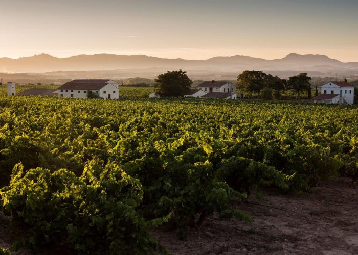 Marqués de Vargas, una de las primeras bodegas de Rioja con viñedos reconocidos como Viñedo Singular