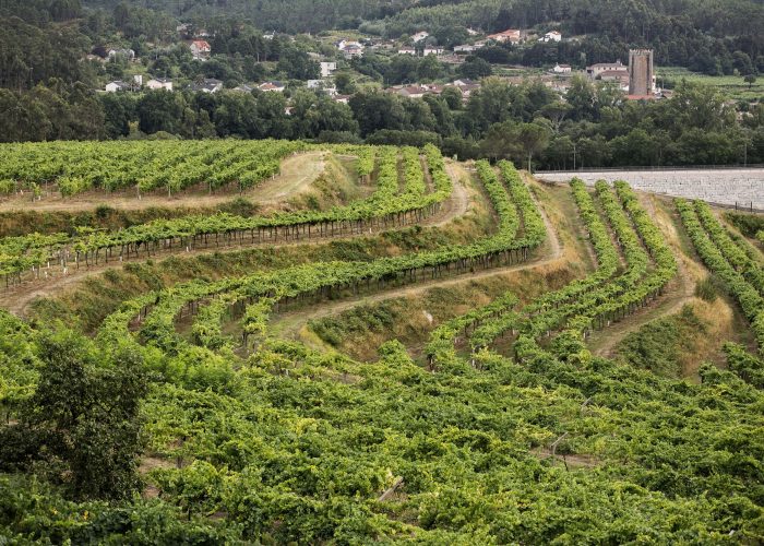 Bodegas y Viñedos del Marqués de Vargas invierte 4 millones de euros en ampliar su bodega de Pazo de San Mauro