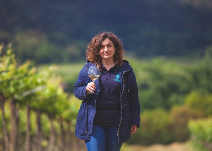 Perfiles Bodegas y Viñedos Marqués de Vargas SL