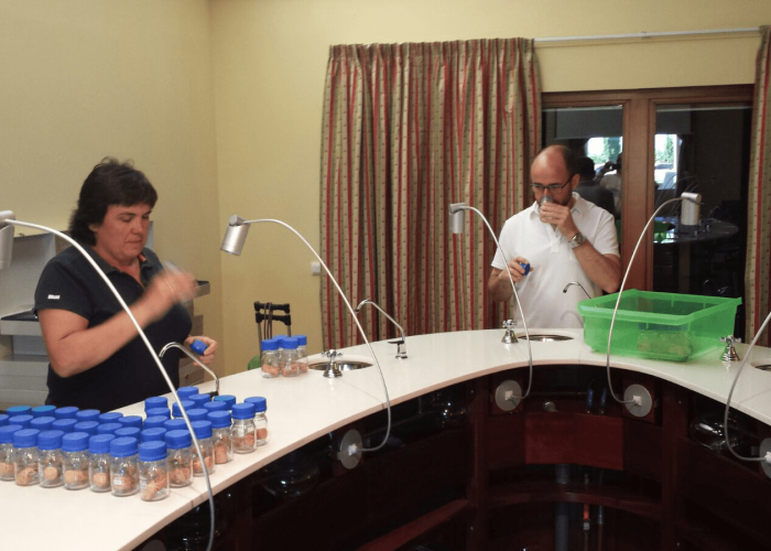 Nuevo procedimiento de control de corchos en GVMV